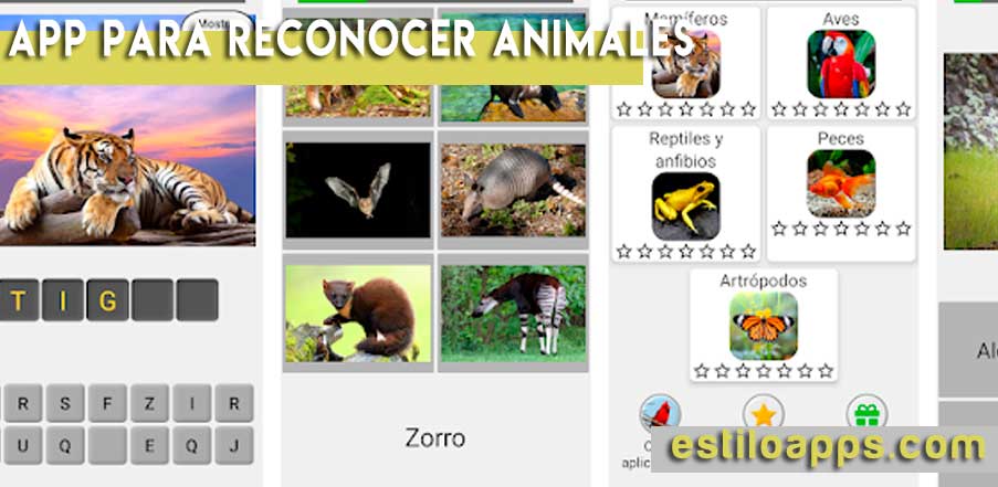 app-animal-reconocer