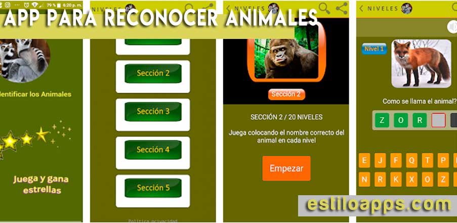 reconocimiento-de-animales